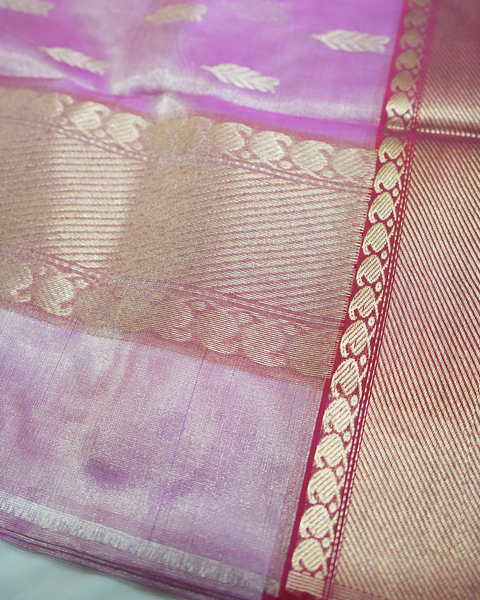 Pink Chanderi Tissue Silk Saree with Gold Zari Border