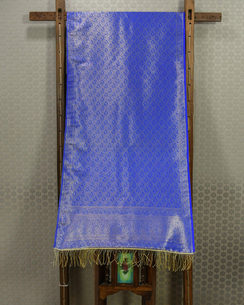 Banarasi Blue Brocade Pure Silk Shela