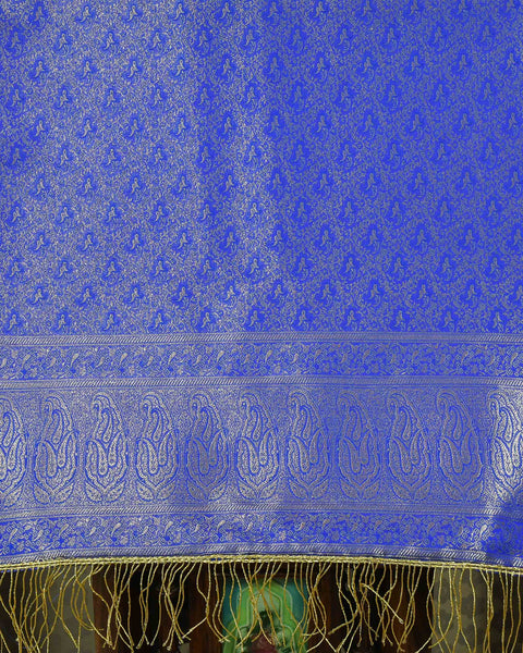 Banarasi Blue Brocade Pure Silk Shela