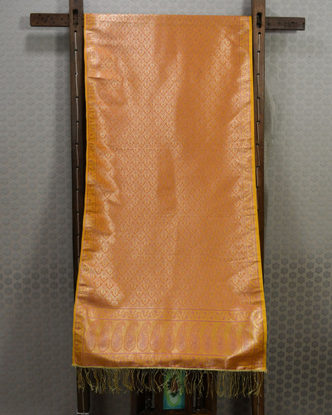 Amber Designer Brocade Pure Silk Shela