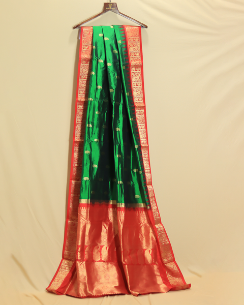 Green Splendor with Festive Red Border 9 Yard Kanjivaram Pure Silk Saree