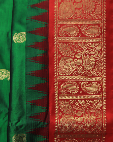 Green Splendor with Festive Red Border 9 Yard Kanjivaram Pure Silk Saree