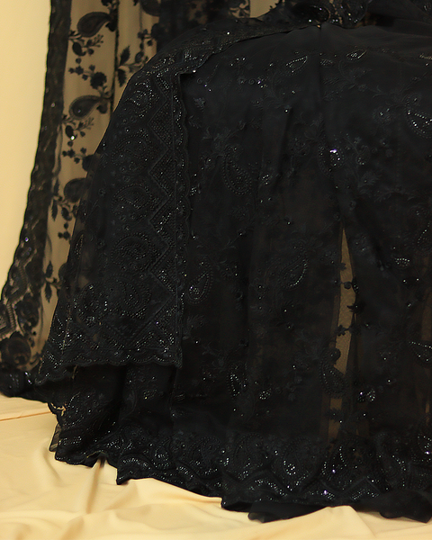 Elegant Black Embroidered Organza Saree with Detailing