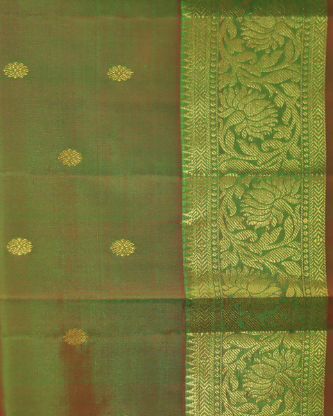 Olive Green Radiance with Antique Gold Border Kanjivaram Pure Silk Saree